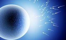 女性子宫肌瘤在西南医科大学附属医院做三代试管预算八万块够不够？