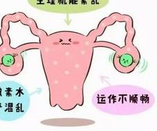 试管婴儿费用详细费用解读，全流程降低费用方法盘点