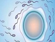 安顺市哪有试管婴儿（安顺哪个妇科医院妇科看的好）